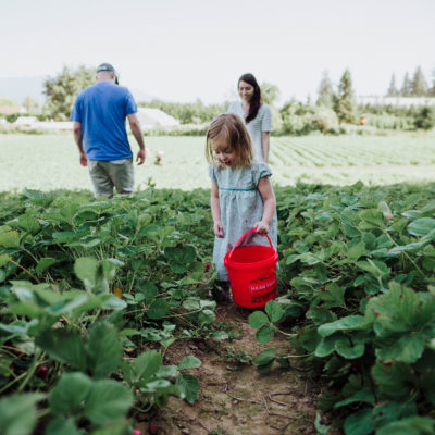 5 Reasons Why You Should Take Your Kids Strawberry Picking