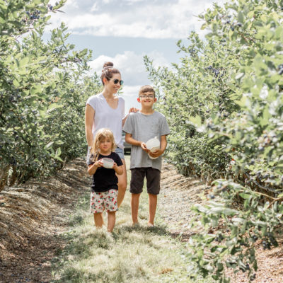 Things To Know Before You Take Your Kids Blueberry Picking!